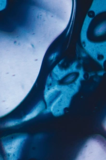 BLOCAUS with Peter Van Hoesen, Inigo Kennedy, Anthony Linell, Rrose (Live) and BLNDR