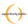 A Perfect Circle