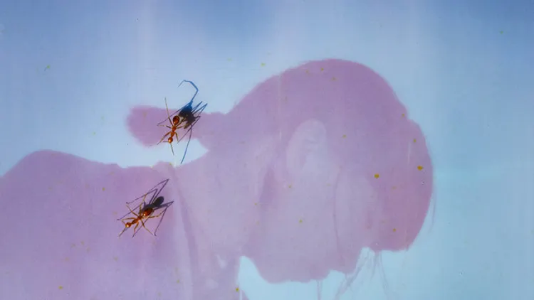 Ichiko Aoba - Across the Oceans Tour 2026