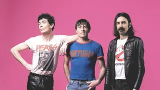 The Zen Circus