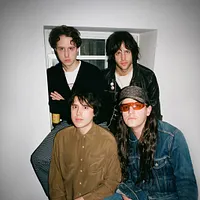 Beach Fossils