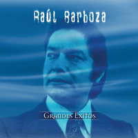 concert Raul Barboza