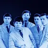 The Animals