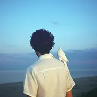 Foé