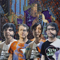 concert Animal Collective