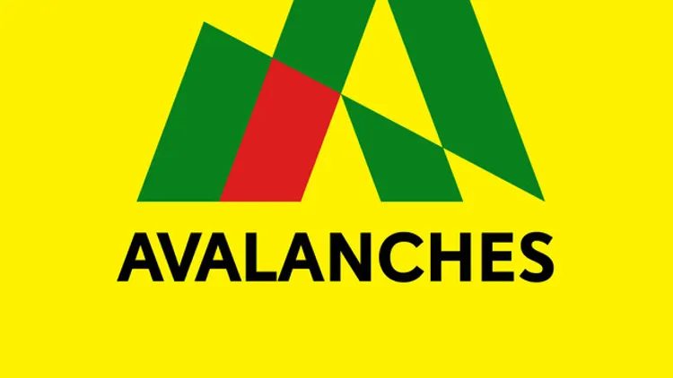 The Avalanches