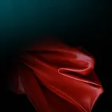 Raime