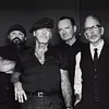 Social Distortion
