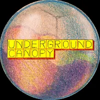 Underground Canopy