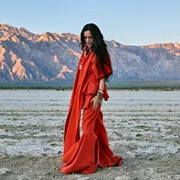 Julieta Venegas