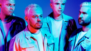 EVERYTHING EVERYTHING