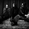 The Datsuns