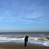 Not Waving