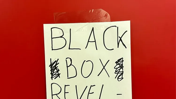 BLACK BOX REVELATION
