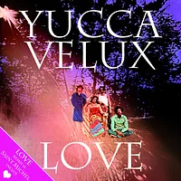 Yucca Velux