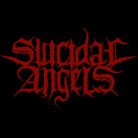 concert Suicidal Angels