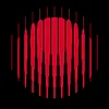 Year of No Light