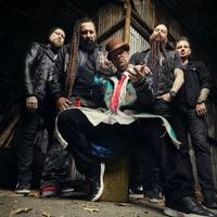 concert Five Finger Death Punch
