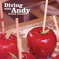 Diving with Andy