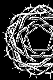 CARPENTER BRUT