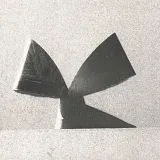 Flaer