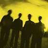 LEMONSUCKR