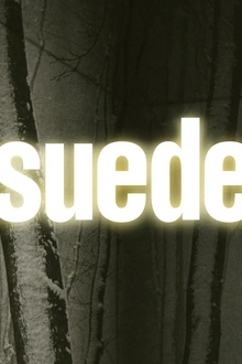 SUEDE