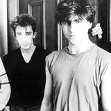 The Chameleons