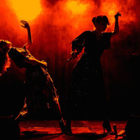 concert Nouvelle Vague
