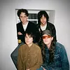 Beach Fossils