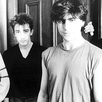The Chameleons