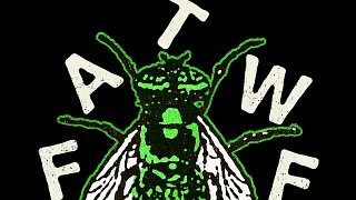 Frankie and the Witch Fingers