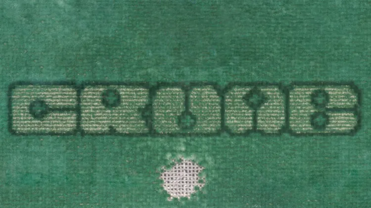 Crumb