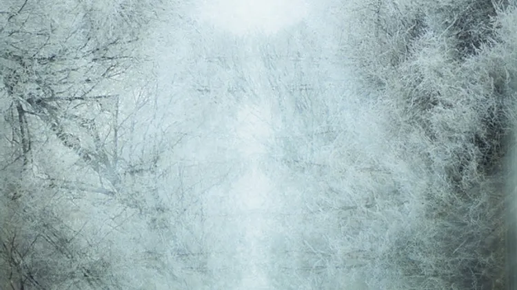 Strain present Liquid Light Series at 303
