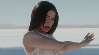Arca, Sega Bodega, BOBBY BEETHOVEN, PETIT