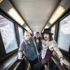The Winery Dogs