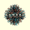 Canari