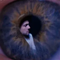 The Veils