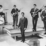 The Honeycombs