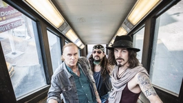 The Winery Dogs