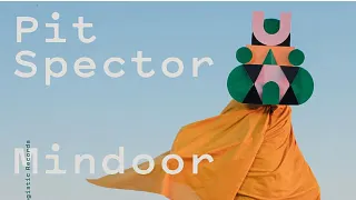 Prospector / dave aju - Pit Spector