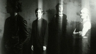 THE HORRORS