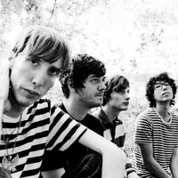 concert Deerhunter