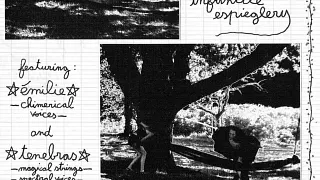 Nuit Noire + Léa Jacta Est + Vaurien / Mécanique Ondulatoire