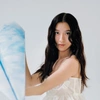 Didi Han