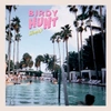 Birdy Hunt