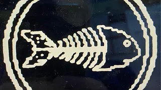 Fishbone ( Tournée )