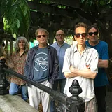 The Feelies