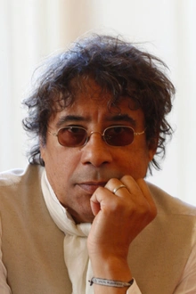 Laurent Voulzy en concert