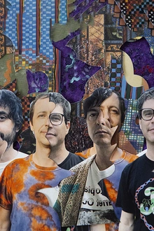 ANIMAL COLLECTIVE